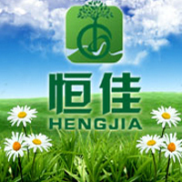 恒佳